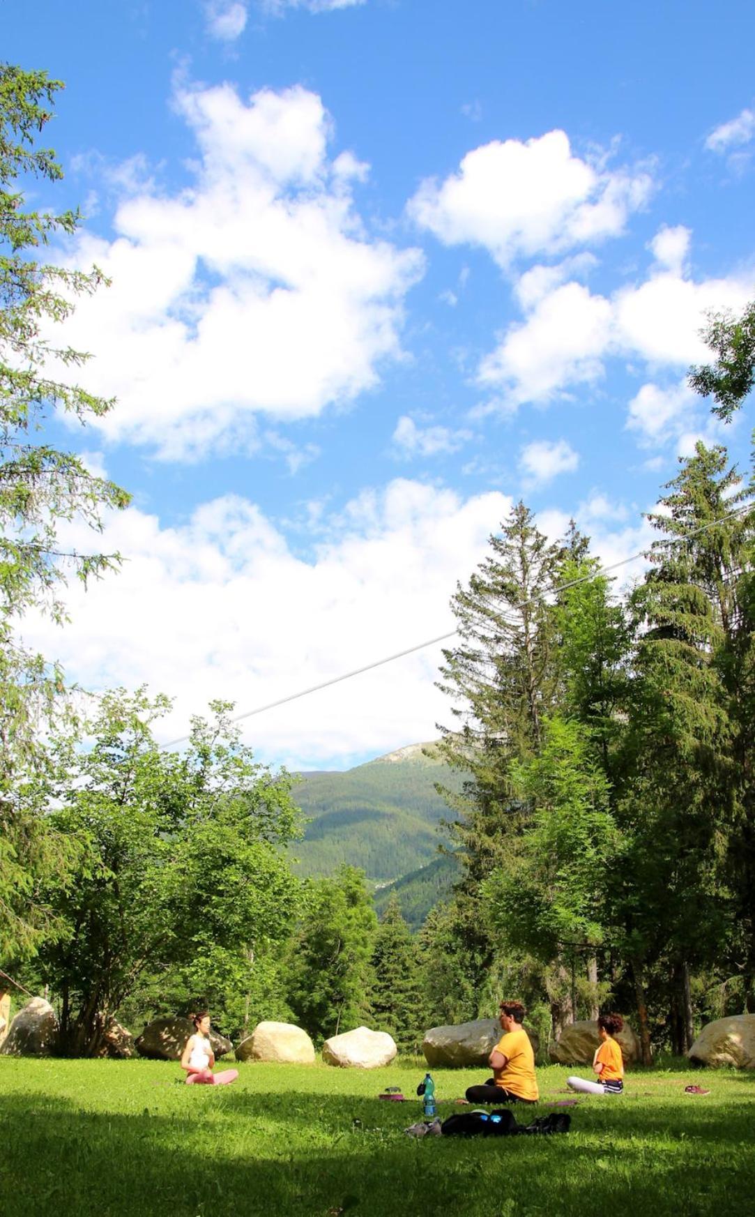 Chalet Presanella Temù Екстериор снимка
